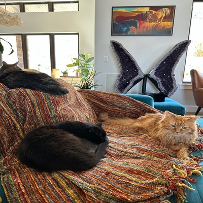wing piece with cats in foreground